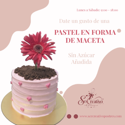 Pastel Maceta con Flor Artesanal
